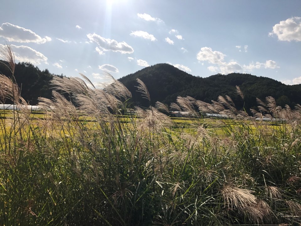 17-11...jpg 첨부 이미지