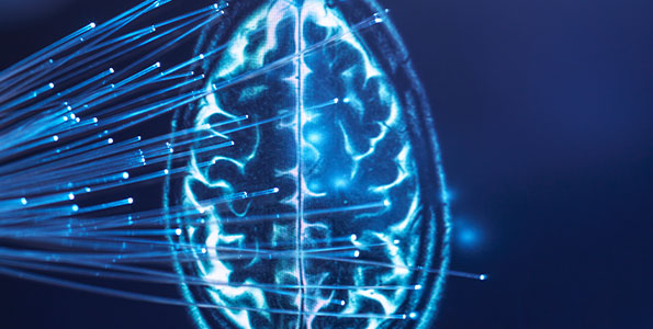 뇌인지융합의학연구소 관련 사진