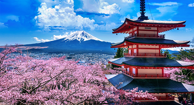 바이오메디컬학과