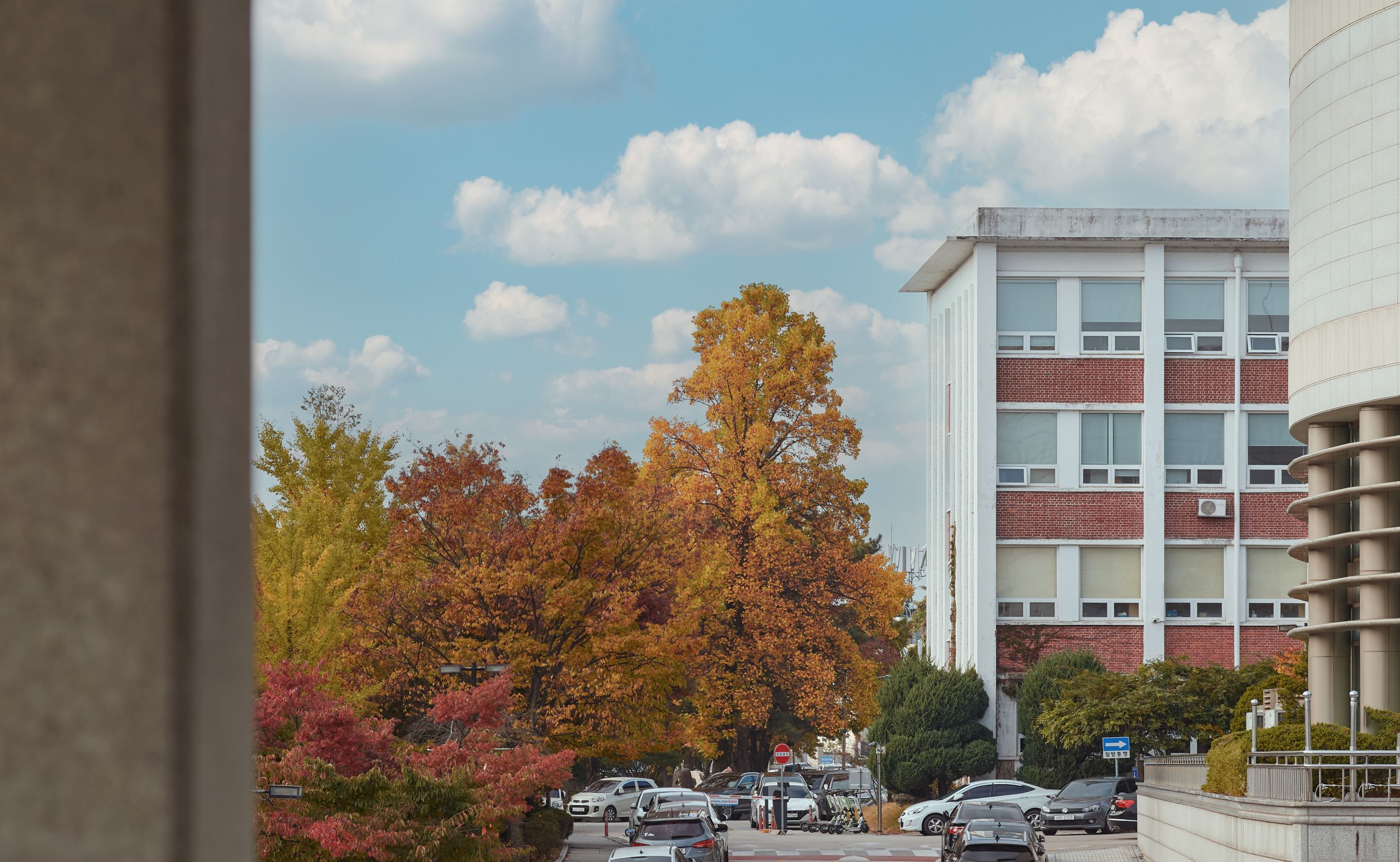 2024 한림의 가을4.jpg 첨부 이미지